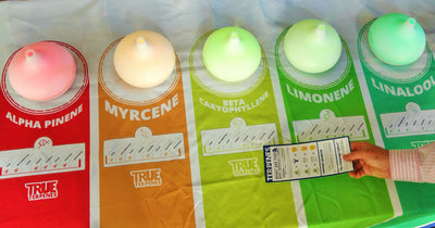 Cannabis Terpenes