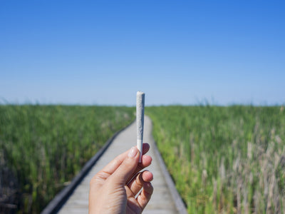 How to Roll a Joint