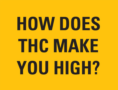 How does THC make you feel high?