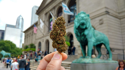 A Response to NAACP's Opposition to Legalize Recreational Cannabis
