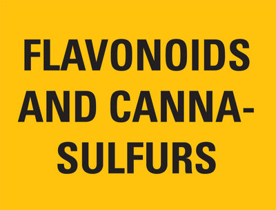 Flavonoids and Cannasulfur Compounds