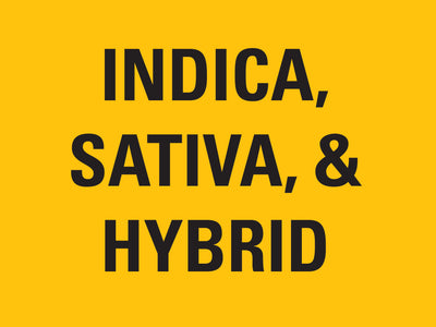 Indica, Sativa, and Hybrid