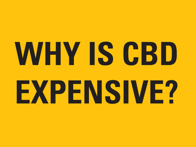 Why is CBD expensive?